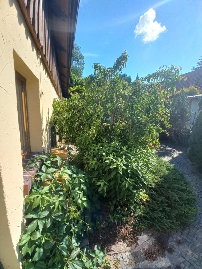 Avalon Polchowo Kamien Pomorski Esterno foto