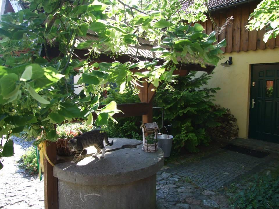 Avalon Polchowo Kamien Pomorski Esterno foto